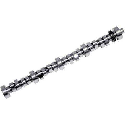 Camshaft (#19)