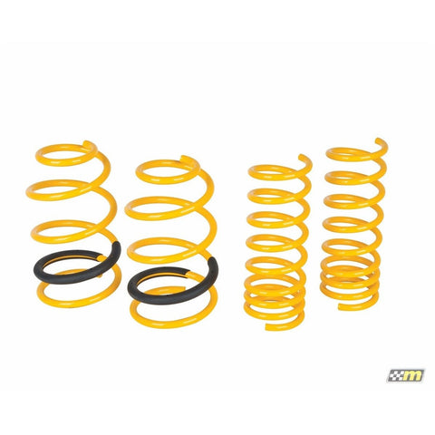 Mountune Focus ST Sport Spring Set (14-16 ST)