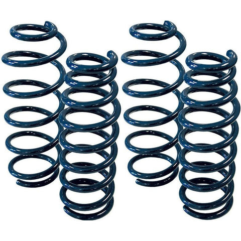 Steeda Ford Fusion Lowering Springs (13-20)