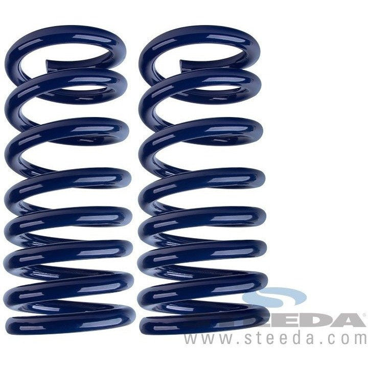 Mustang Sport Springs - Progressive