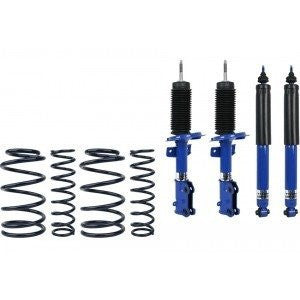 Pro-Action & Sport Springs Mustang Suspension Package