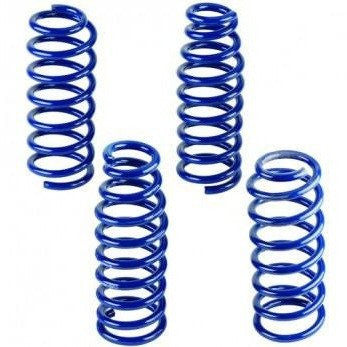 Lowering Springs