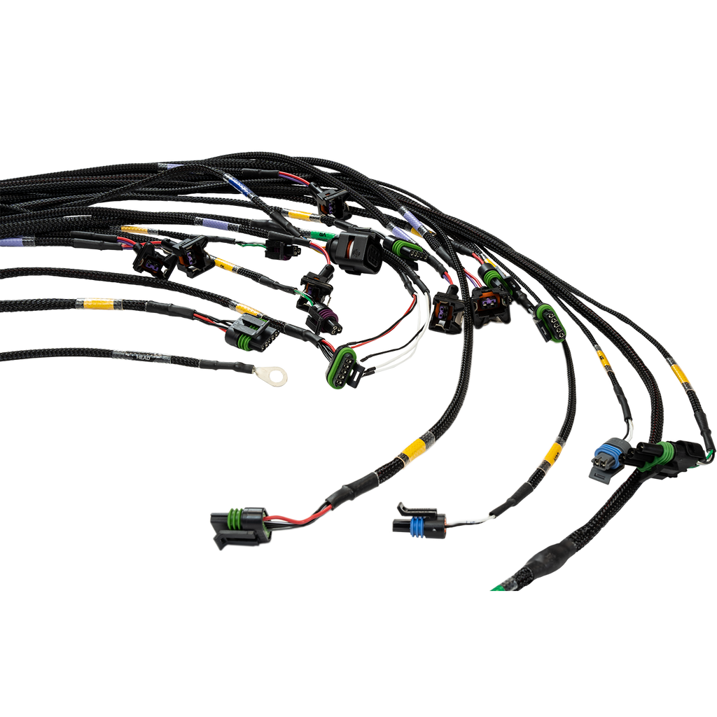 FT450/FT550 6 Cylinder Universal A Harness