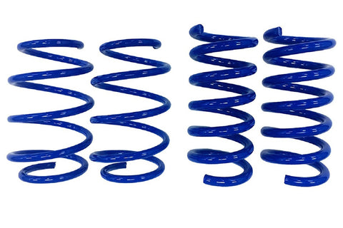 Steeda S550/S650 Mustang GT Drag Springs - Linear (2015-2024)