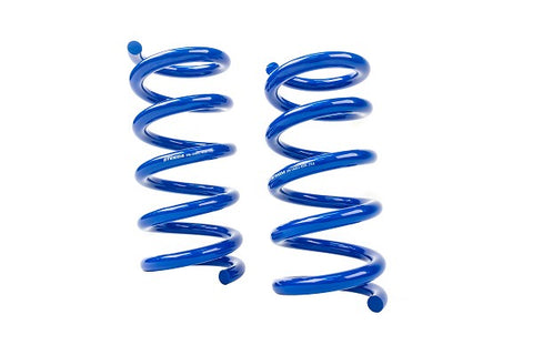 Steeda S550/S650 Mustang Rear Drag Spring Kit (2015-2024)